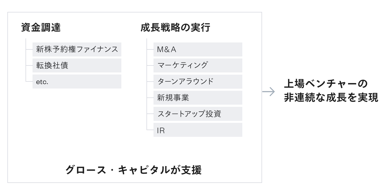 図1:グロース・キャピタルのサービス領域